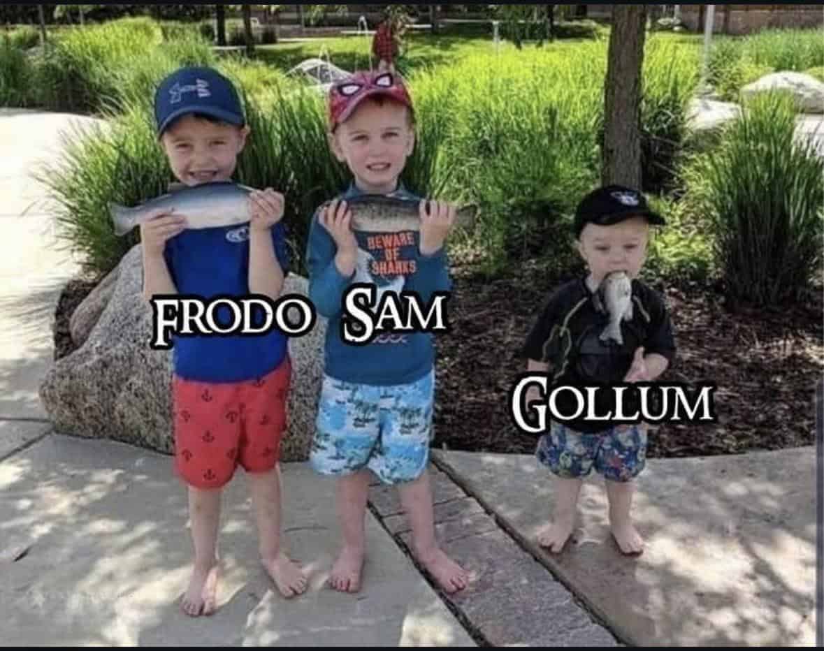 lotr memes, lord of the rings memes, middle earth memes, hobbit jokes, tolkien jokes, fellowship humor, gandalf memes, wizard jokes, staff humor, hobbit memes, shire jokes, baggins humor, funny lotr memes