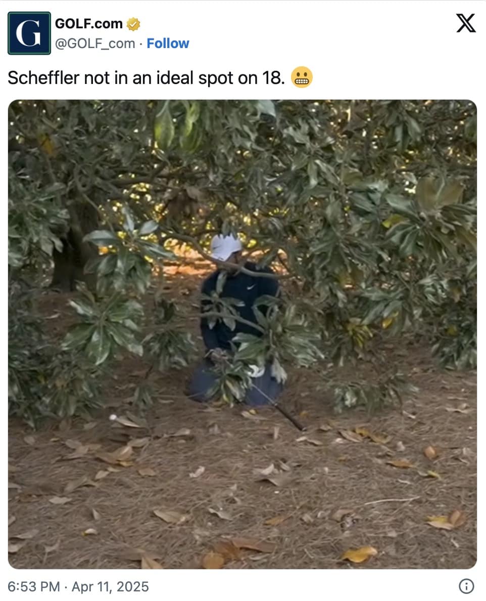 the last of us memes, tlou memes, memes, hbo tlou memes, last of us jokes, naughty dog memes, cordyceps jokes, hbo memes, streaming memes, prestige tv jokes, pedro pascal memes, joel memes, mandalorian dad jokes