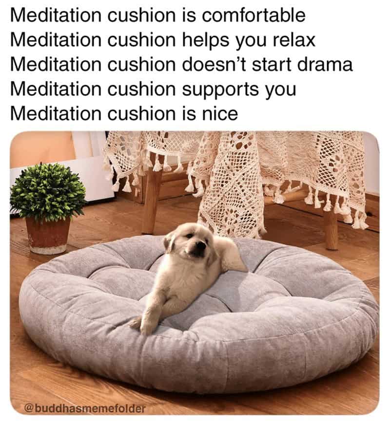 Meditation cushion is comfortable Meditation cushion helps you relax Meditation cushion doesn't start drama Meditation cushion supports you Meditation cushion is nice