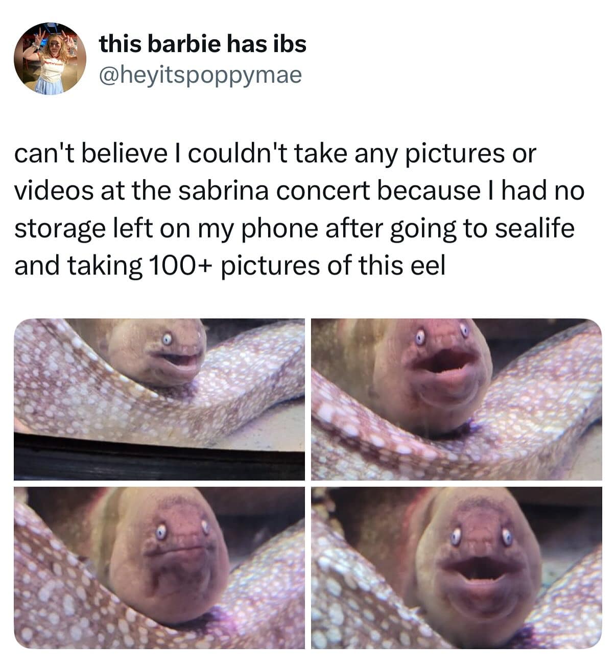 meme dump, funny memes, hilarious memes, meme collection, meme roundup, midday memes, meme gallery, comedic memes, silly memes, viral memes, internet memes, trending memes, entertaining memes, rofl-worthy memes, dank memes, dank meme dump, memes funny