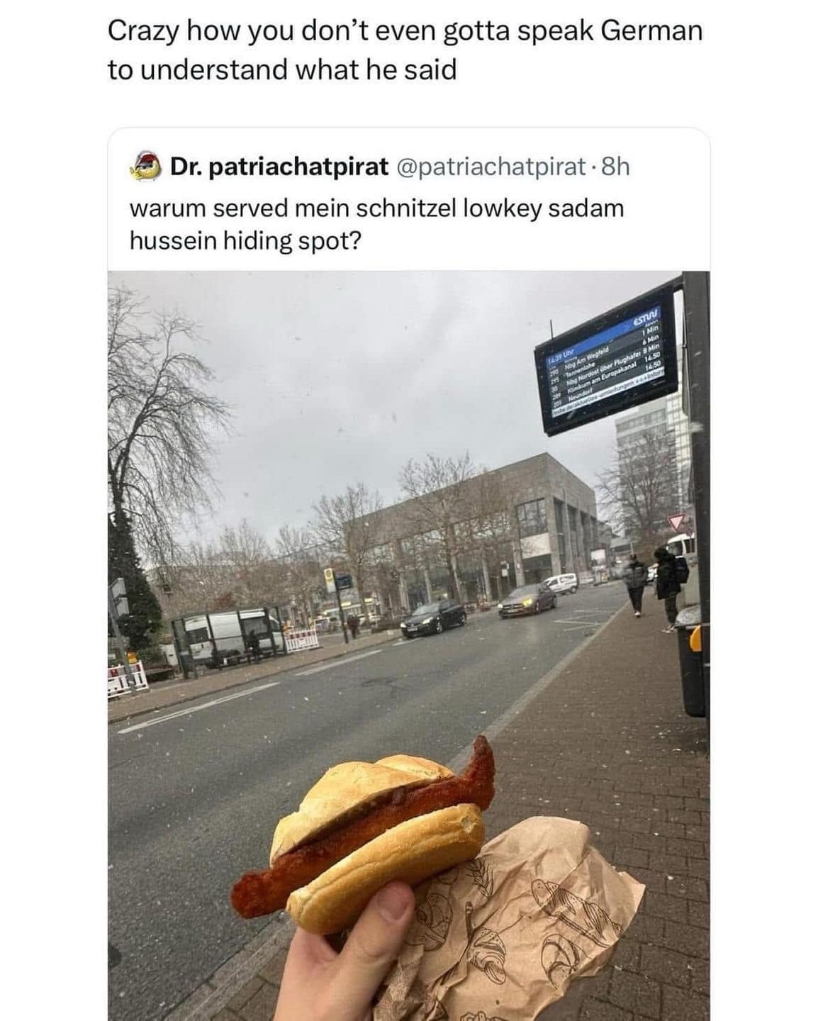 Crazy how you don't even gotta speak German to understand what he said Dr. patriachatpirat @patriachatpirat •8h warum served mein schnitzel lowkey sadam hussein hiding spot?