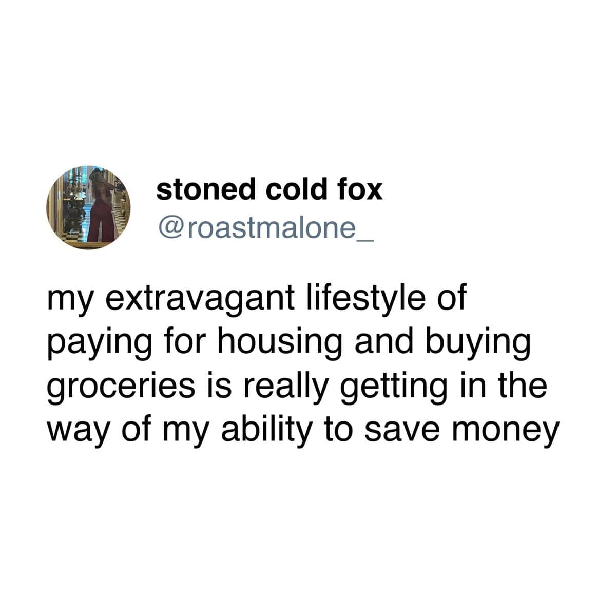 stoned cold fox @roastmalone_ my extravagant lifestyle of paying for housing and buying groceries is really getting in the way of my ability to save money