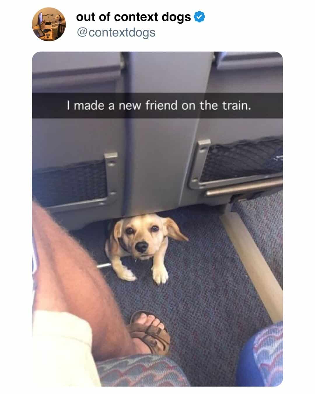 meme dump, funny memes, hilarious memes, Sunday memes, lazy afternoon humor, adulting jokes, modern life memes, chaotic humor, random memes, internet memes, dank memes, dank meme dump, spicy memes, memes funny