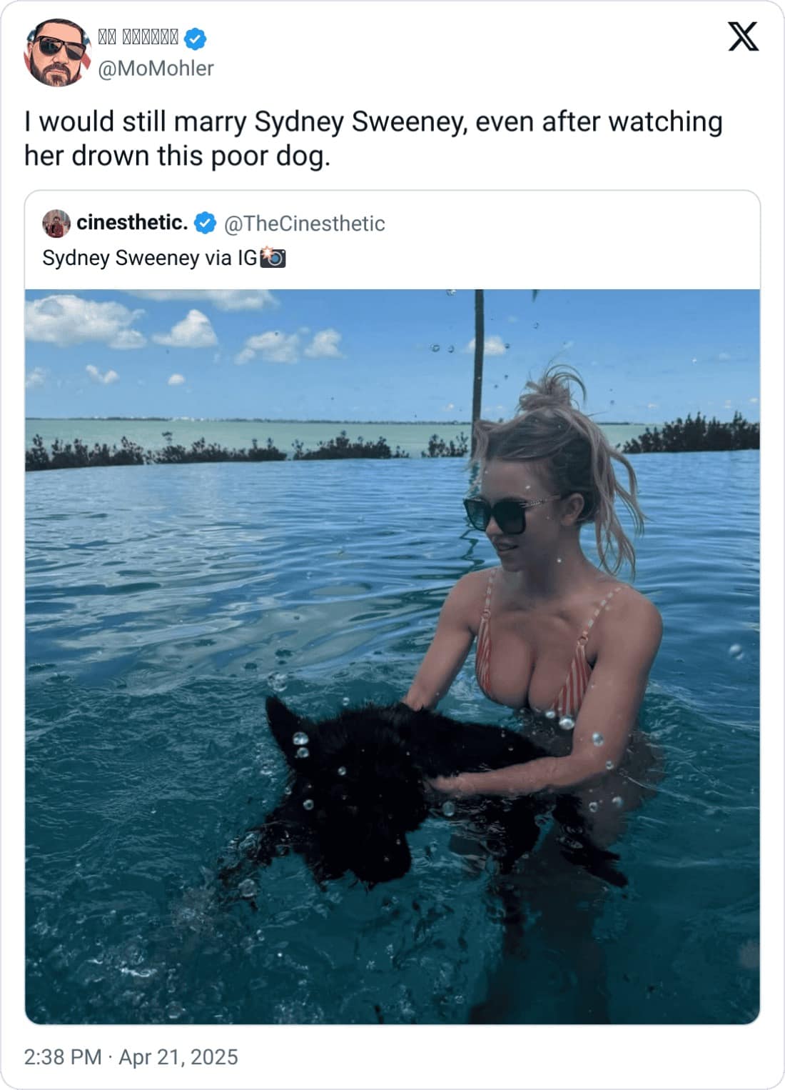 meme dump, funny memes, hilarious memes, meme roundup, meme bundle, meme collection, comedy memes, laugh memes, trending memes, viral memes, popular memes, hot memes, internet memes, social media memes, web humor, online laughs, meme gallery, dank memes, dank meme dump, memes funny, internet meme