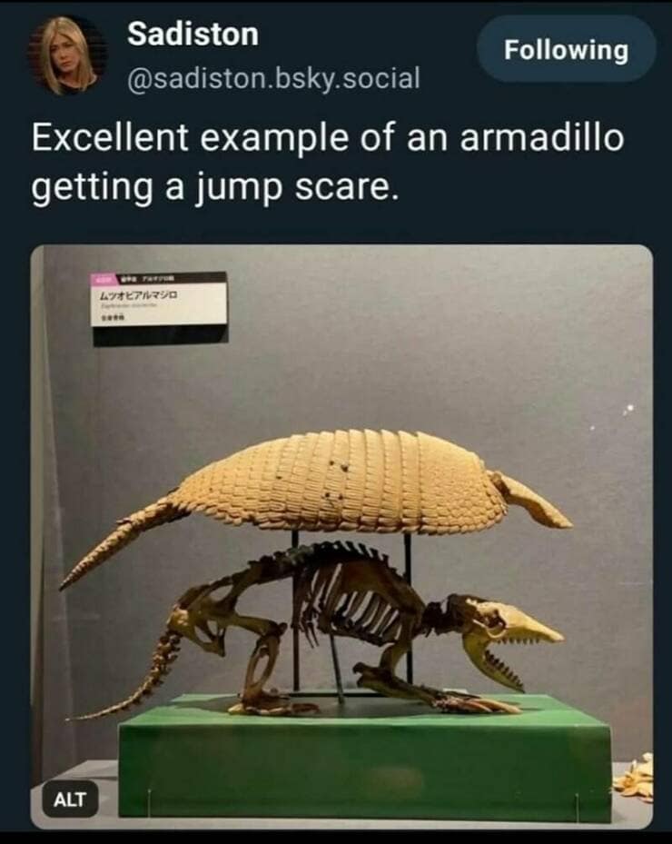 meme dump, funny memes, hilarious memes, meme roundup, meme bundle, meme collection, comedy memes, laugh memes, trending memes, viral memes, popular memes, hot memes, internet memes, social media memes, web humor, online laughs, meme gallery, dank memes, dank meme dump, memes funny, internet meme