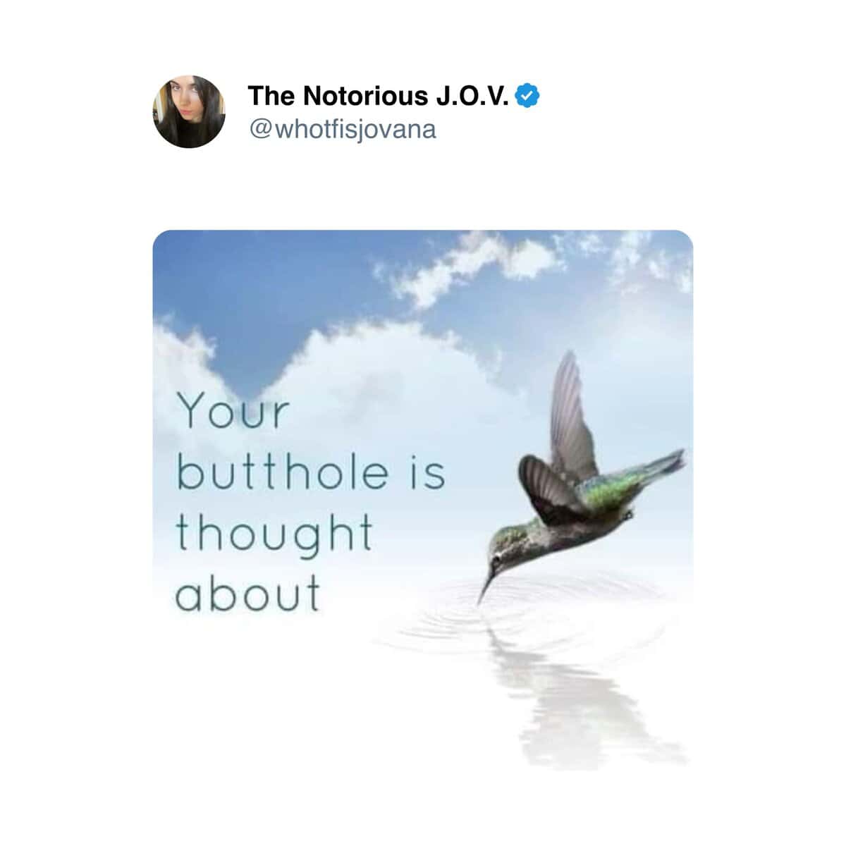 The Notorious J.O.V. & @whotfisjovana Your butthole is thought about