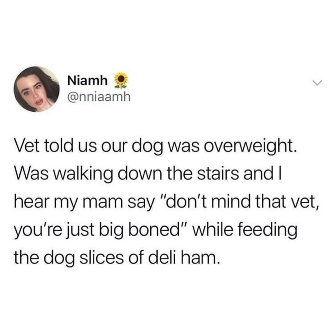 meme dump, funny memes, hilarious memes, meme collection, meme roundup, meme bundle, meme gallery, humorous posts, comedic images, trending memes, popular web jokes, viral internet humor, dank memes, dank meme dump, internet meme