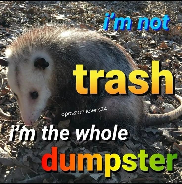 meme dump, funny memes, hilarious memes, meme bundle, meme roundup, meme collection, comedy memes, laugh memes, viral memes, trending memes, popular memes, hot memes, internet memes, social media memes, web humor, online jokes, memes funny, internet meme