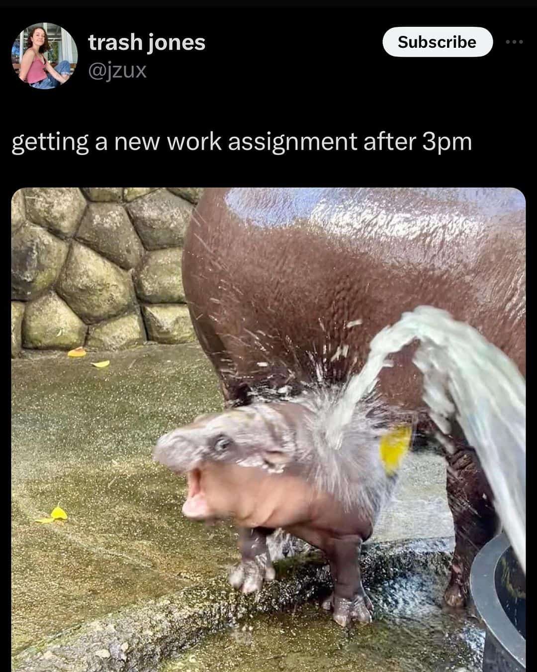 middle class memes, suburban memes, middle class fancy, middle-class humor, suburban humor, family memes, relatable memes, lifestyle memes, dad jokes, suburban life, everyday humor, family life, casual humor