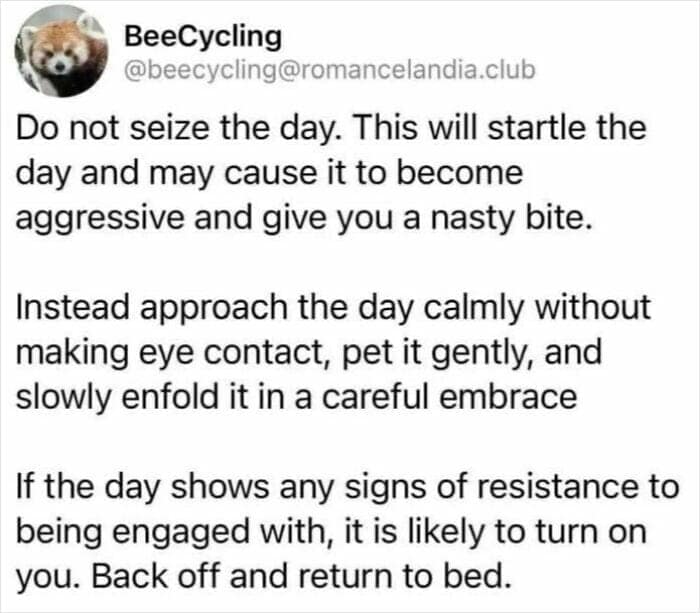 nihilist memes, depressing memes, existential memes, meaningless memes, gloom memes, sorrowful memes, sad memes, dark humor memes, edgy humor memes, black comedy memes, bleak memes, hopeless memes, despair memes