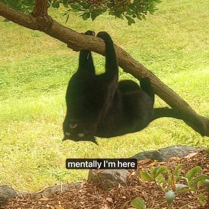 nihilist memes, depressing memes, existential memes, meaningless memes, gloom memes, sorrowful memes, sad memes, dark humor memes, edgy humor memes, black comedy memes, bleak memes, hopeless memes, despair memes