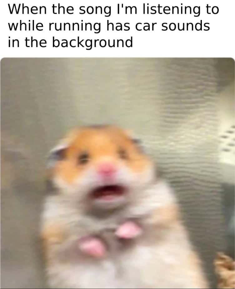 running memes, runner memes, marathon memes, runner jokes, fitness memes, jogging memes, jogger memes, athletic memes, track memes, runners high memes