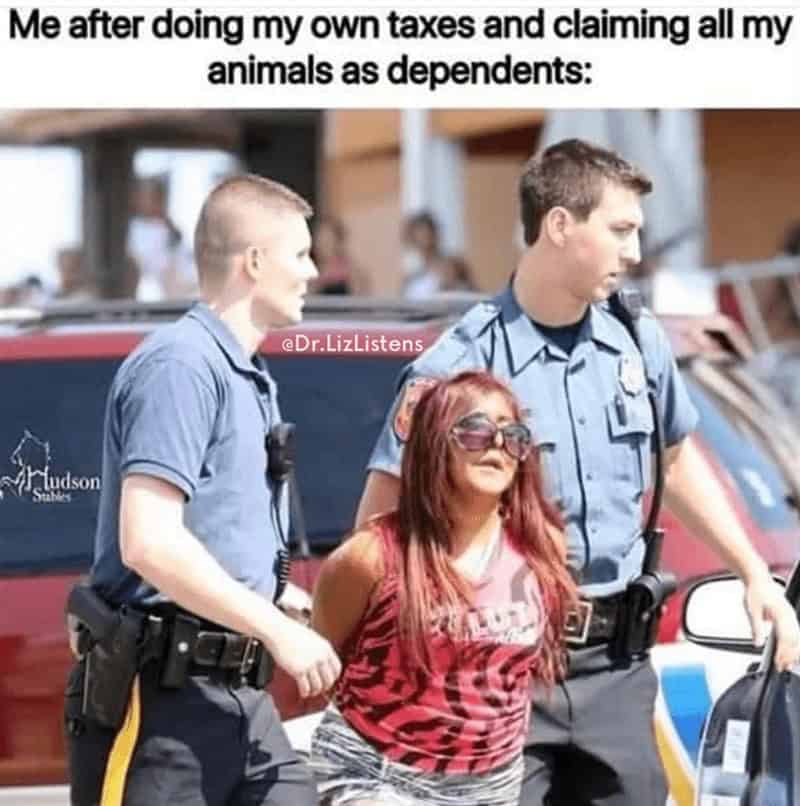 tax memes, taxes memes, tax-themed memes, taxing memes, accounting memes, tax season jokes, income tax jokes, april tax jokes, funny tax memes, comedic tax references, hysterical tax gags, tax day humor, last-minute tax humor, return deadline jokes