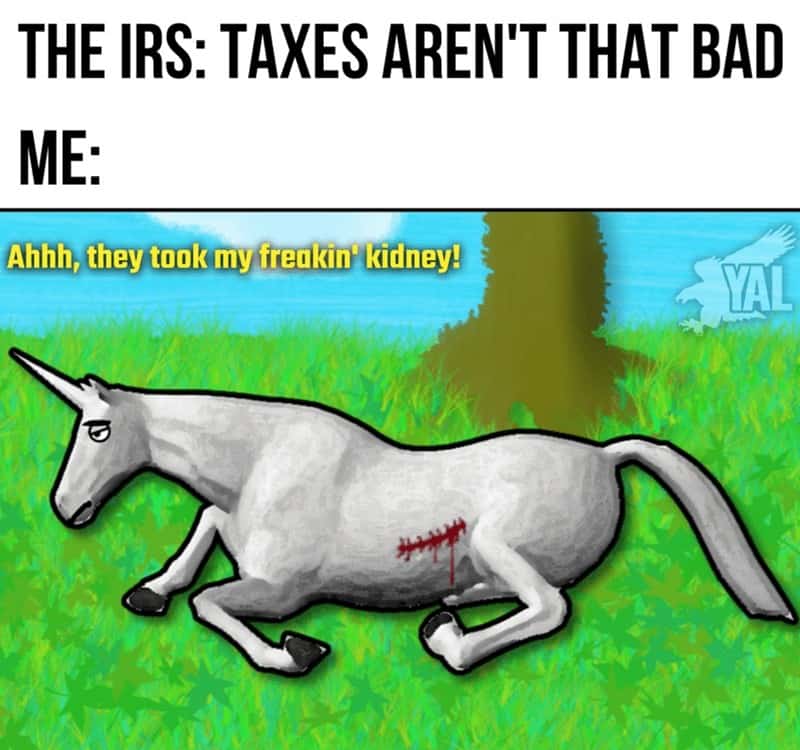 tax memes, taxes memes, tax-themed memes, taxing memes, accounting memes, tax season jokes, income tax jokes, april tax jokes, funny tax memes, comedic tax references, hysterical tax gags, tax day humor, last-minute tax humor, return deadline jokes
