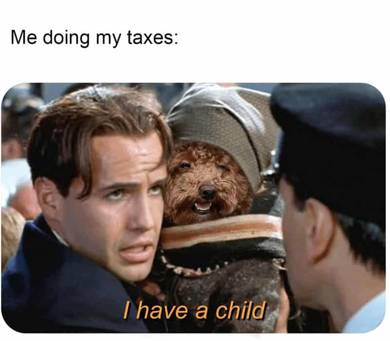 tax memes, taxes memes, tax-themed memes, taxing memes, accounting memes, tax season jokes, income tax jokes, april tax jokes, funny tax memes, comedic tax references, hysterical tax gags, tax day humor, last-minute tax humor, return deadline jokes