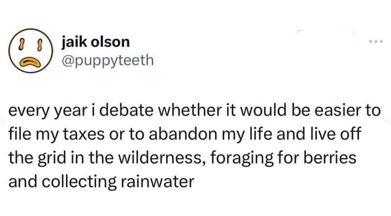 tax memes, taxes memes, tax-themed memes, taxing memes, accounting memes, tax season jokes, income tax jokes, april tax jokes, funny tax memes, comedic tax references, hysterical tax gags, tax day humor, last-minute tax humor, return deadline jokes