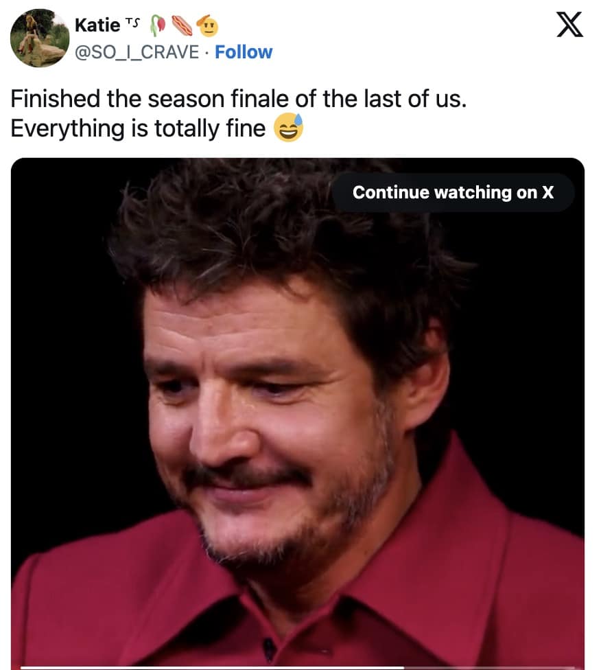 the last of us memes, tlou memes, memes, hbo tlou memes, last of us jokes, naughty dog memes, cordyceps jokes, hbo memes, streaming memes, prestige tv jokes, pedro pascal memes, joel memes, mandalorian dad jokes