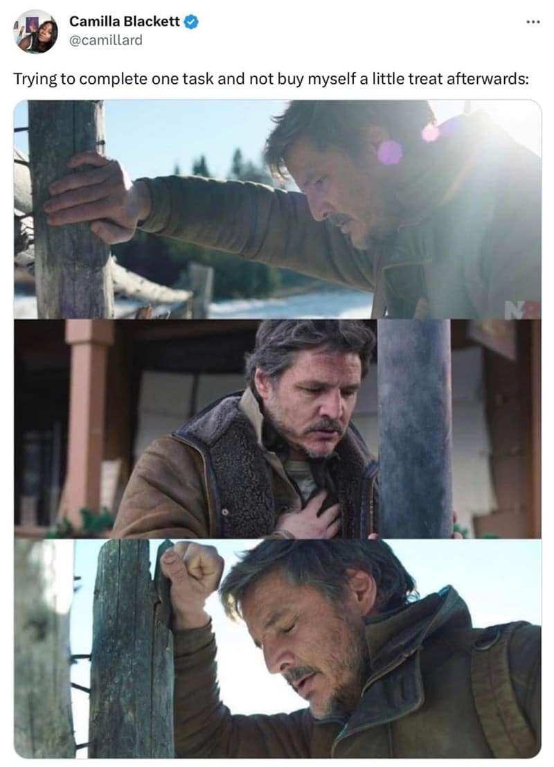 the last of us memes, tlou memes, memes, hbo tlou memes, last of us jokes, naughty dog memes, cordyceps jokes, hbo memes, streaming memes, prestige tv jokes, pedro pascal memes, joel memes, mandalorian dad jokes