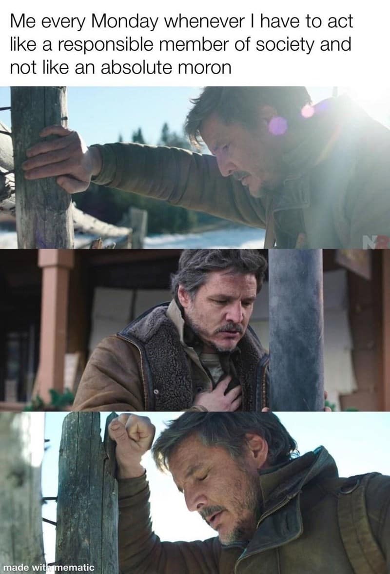 the last of us memes, tlou memes, memes, hbo tlou memes, last of us jokes, naughty dog memes, cordyceps jokes, hbo memes, streaming memes, prestige tv jokes, pedro pascal memes, joel memes, mandalorian dad jokes