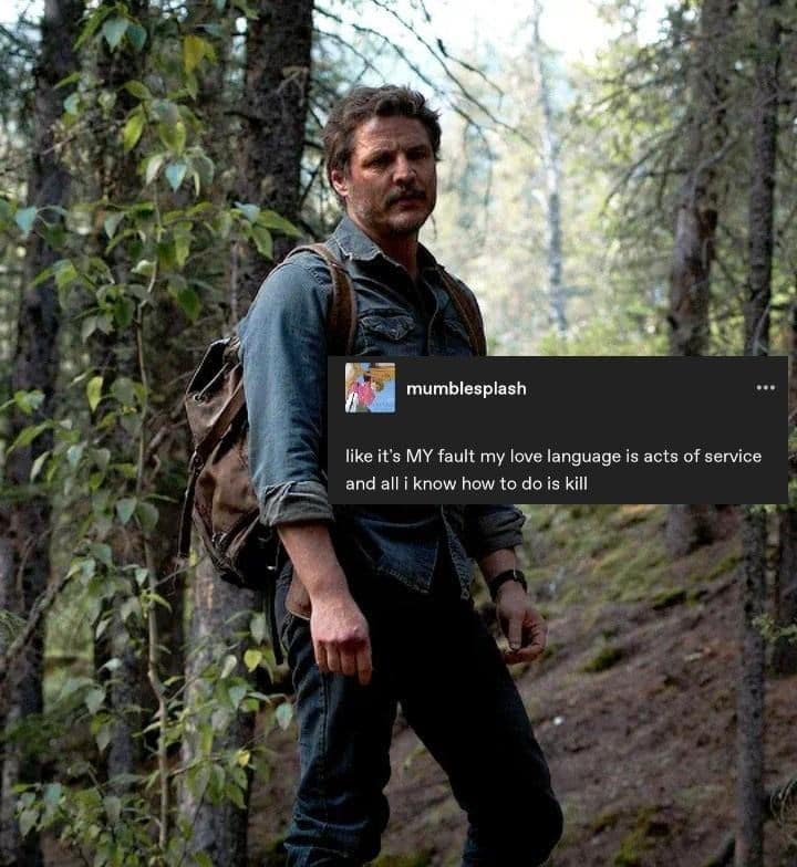 the last of us memes, tlou memes, memes, hbo tlou memes, last of us jokes, naughty dog memes, cordyceps jokes, hbo memes, streaming memes, prestige tv jokes, pedro pascal memes, joel memes, mandalorian dad jokes