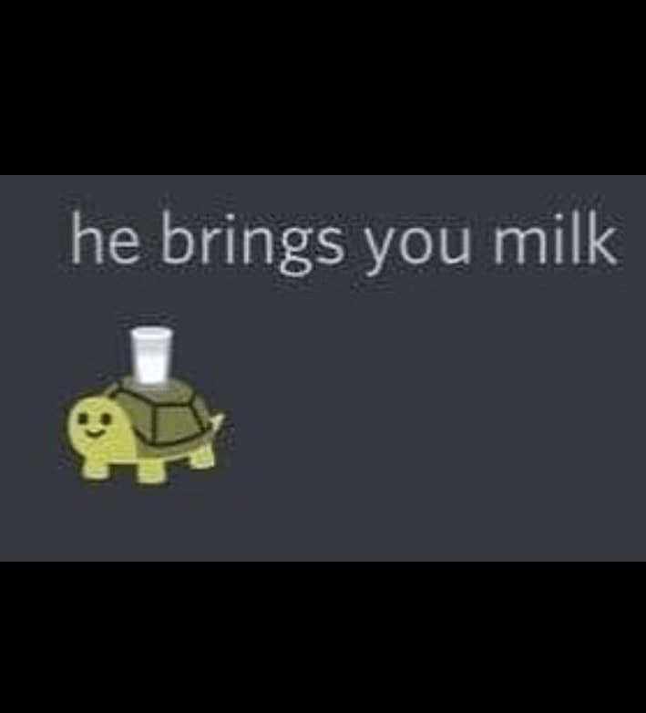 turtle memes, tortoise memes, shell memes, funny turtle pics, turtle jokes, turtle humor, slow memes, animal memes, pet memes, wildlife memes, cute memes