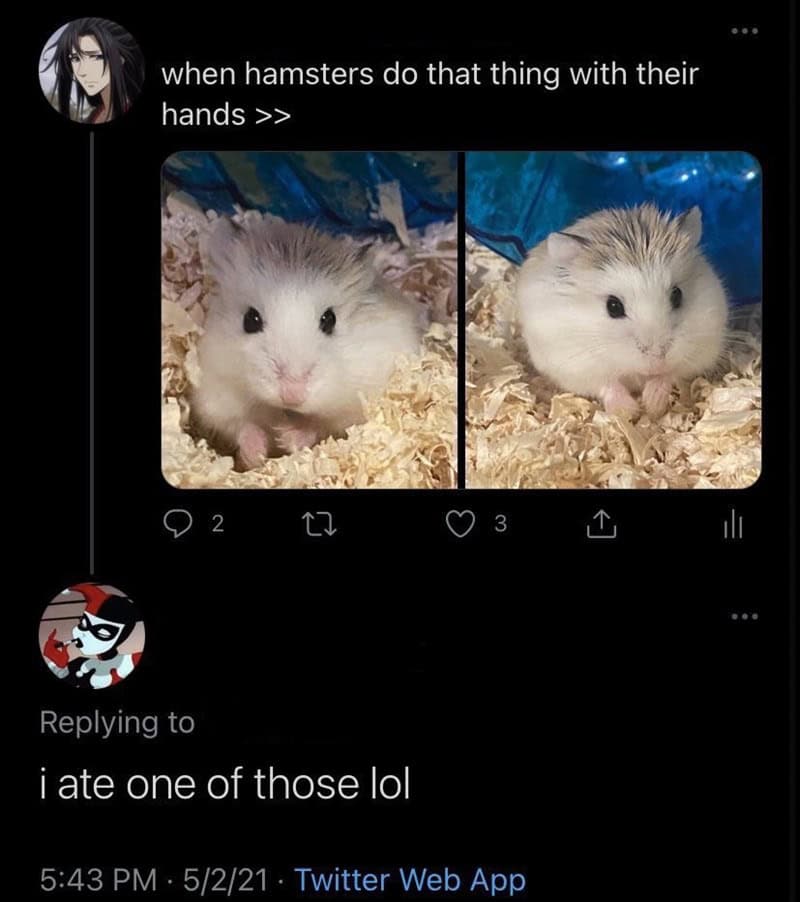 when hamsters do that thing with their hands