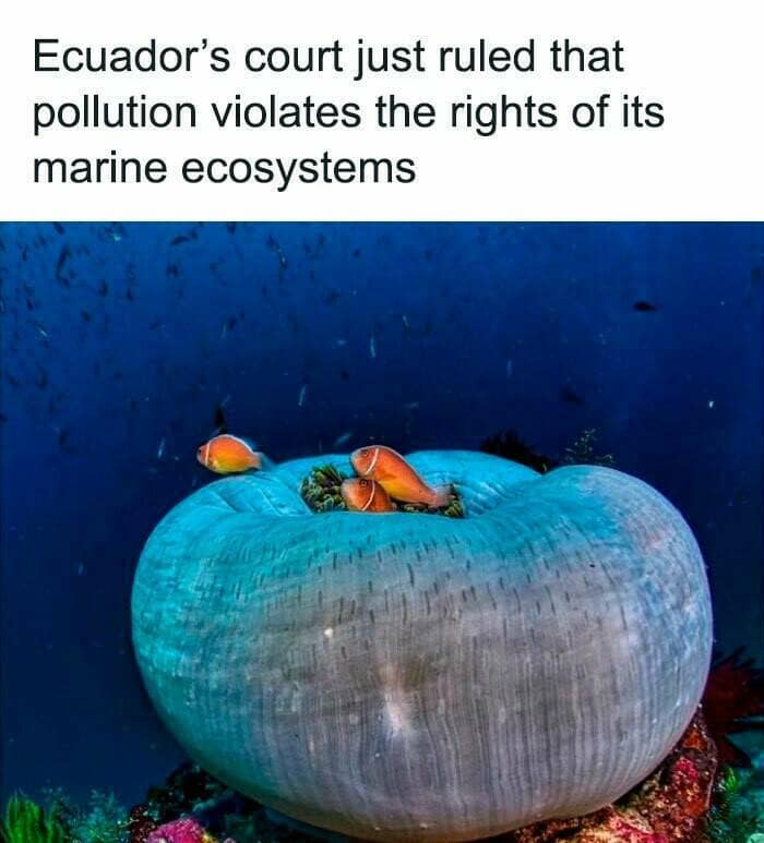Ecuador's court just ruled that pollution violates the rights of its marine ecosystems
