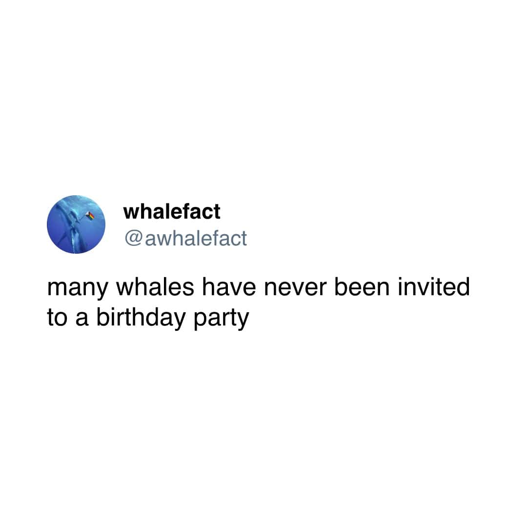 many whales have never been invited to a birthday party