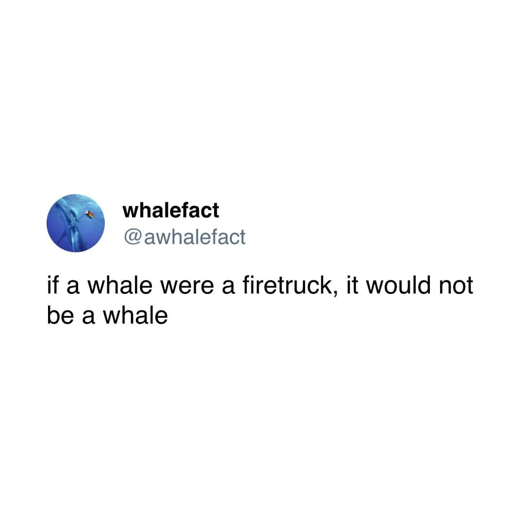 if a whale were a firetruck, it would not be a whale