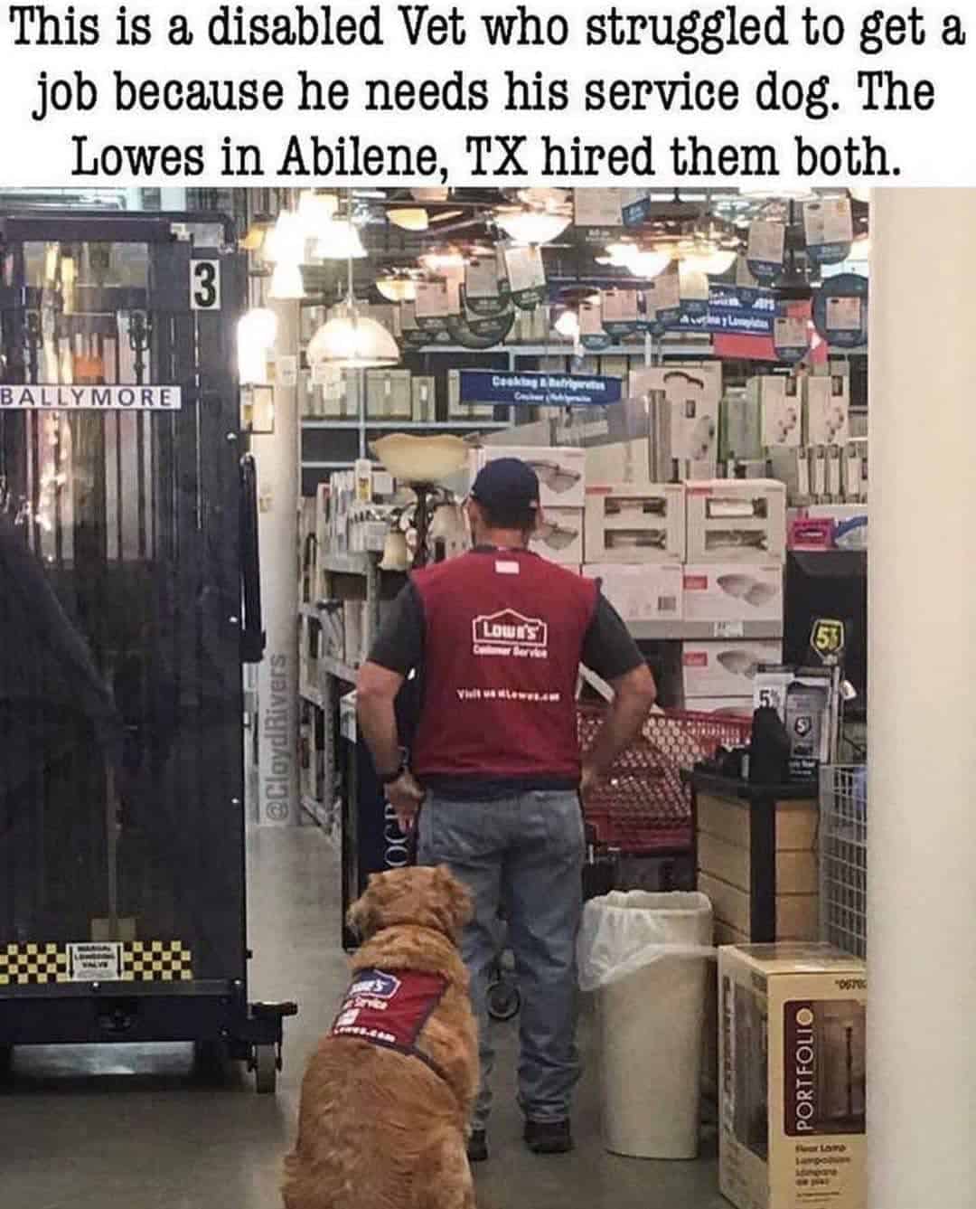 wholesome memes, heartwarming memes, uplifting memes, positive memes, feel-good memes, feel-good memes, cheerful memes, encouraging memes, mood-lifting memes, supportive memes