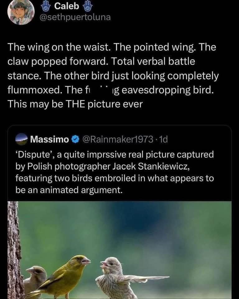 wholesome memes, heartwarming memes, uplifting memes, positive memes, feel-good memes, feel-good memes, cheerful memes, encouraging memes, mood-lifting memes, supportive memes