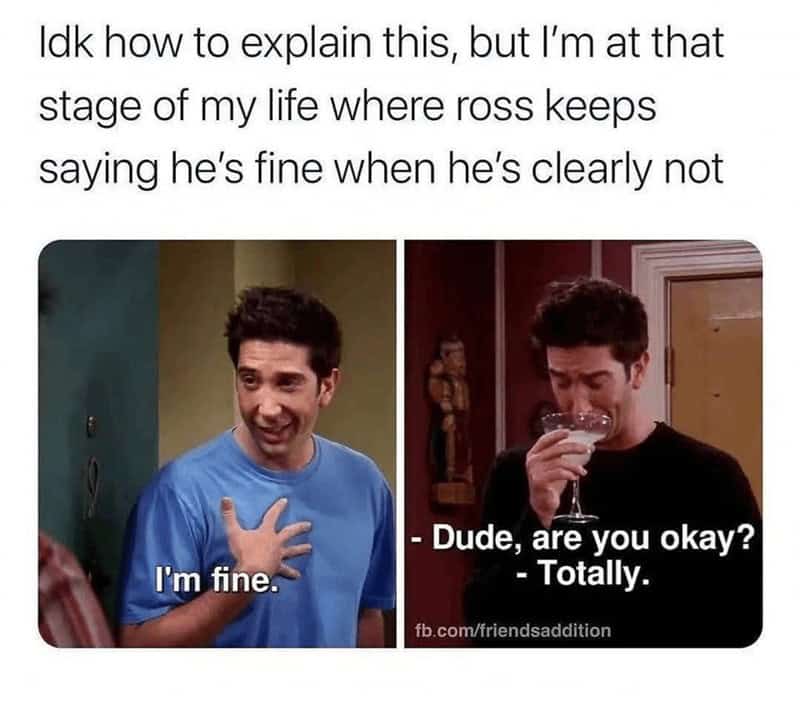 friends memes, funny friends moments, chandler memes, Memes about Friends TV show, ross memes, rachel memes, phoebe memes, joey memes