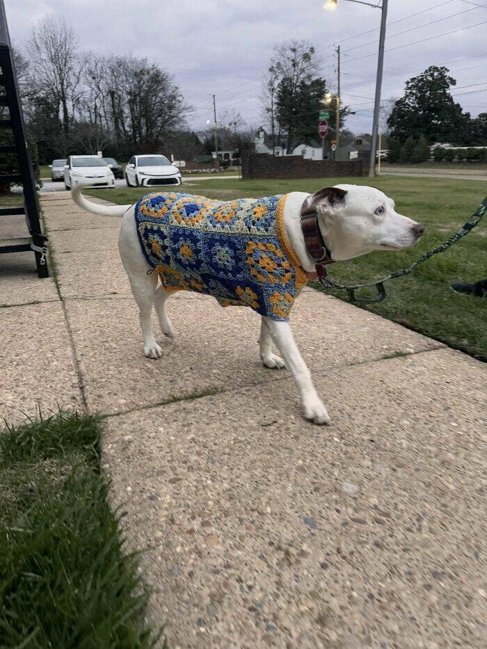 amazing crochet, awesome crochet, remarkable yarn pieces, crocheted wonders, fiber artistry feats, crochet patterns, stitching blueprint illusions, crocheting plan references, yarn crafts, thread-based creativity, fiber project marvels, knitting or crocheting humor, comedic yarn confusion, sewing vs hooking jokes