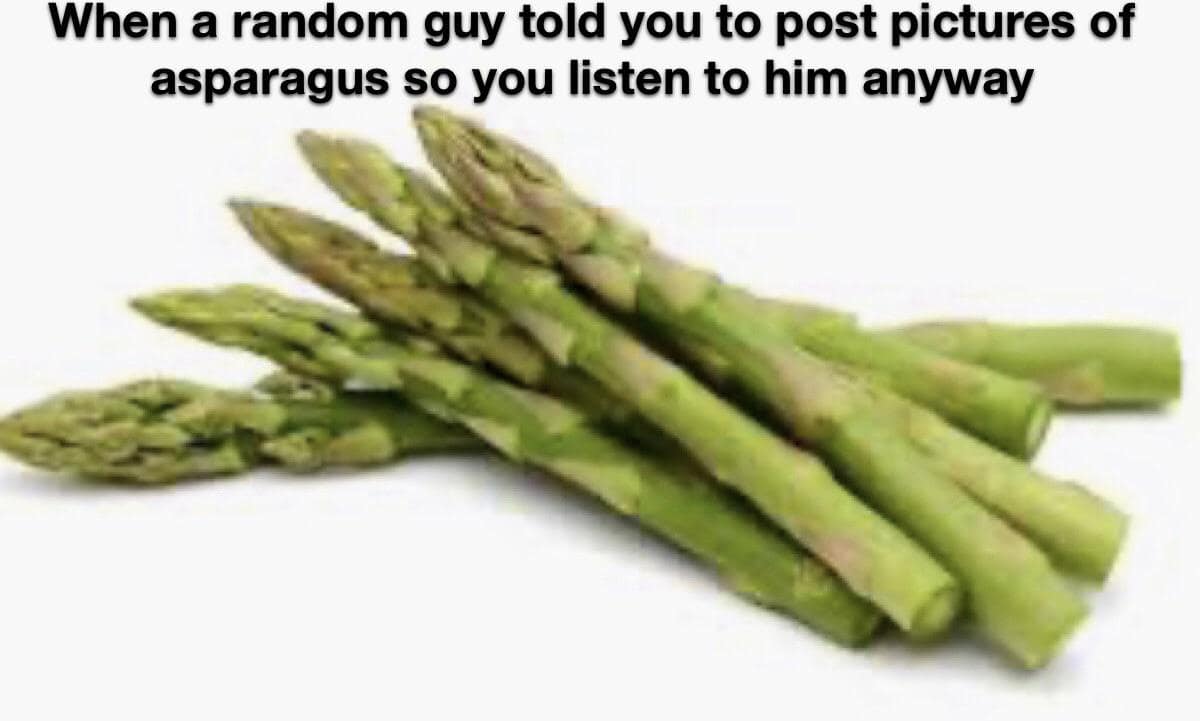 When a random guy told you to post pictures of asparagus so you listen to him anyway