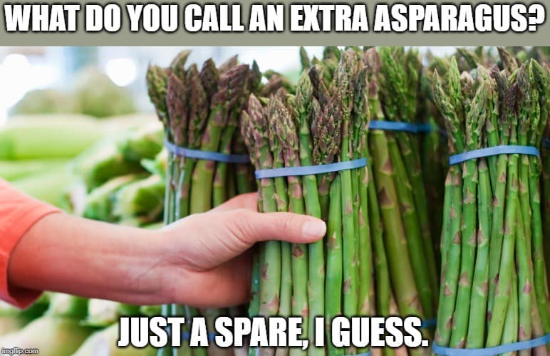 WHAT DO YOU CALL AN EXTRA ASPARAGUS? ungip.com JUST A SPARE I GUESS