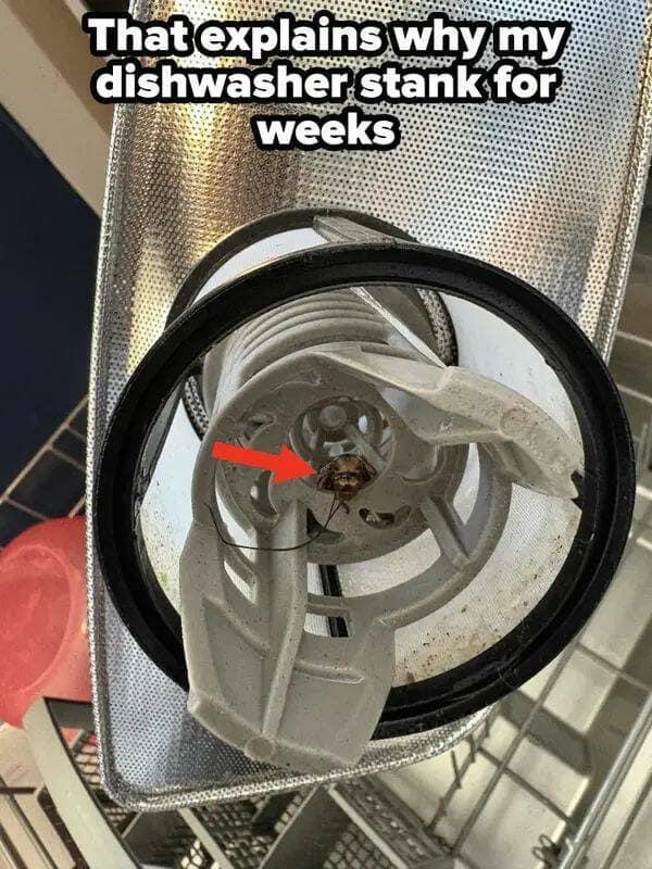 bad day photos, funny fails, fail photos, epic fails, funny fail memes, bad day memes, fail pictures, funny fails, awkward photos, disaster pics, photo fails, hilarious fails, instant regret photos, unlucky day memes, cringe photos, relatable fails, bad luck images, worst day ever memes, epic fail photos, funny disaster pics, comedy fails