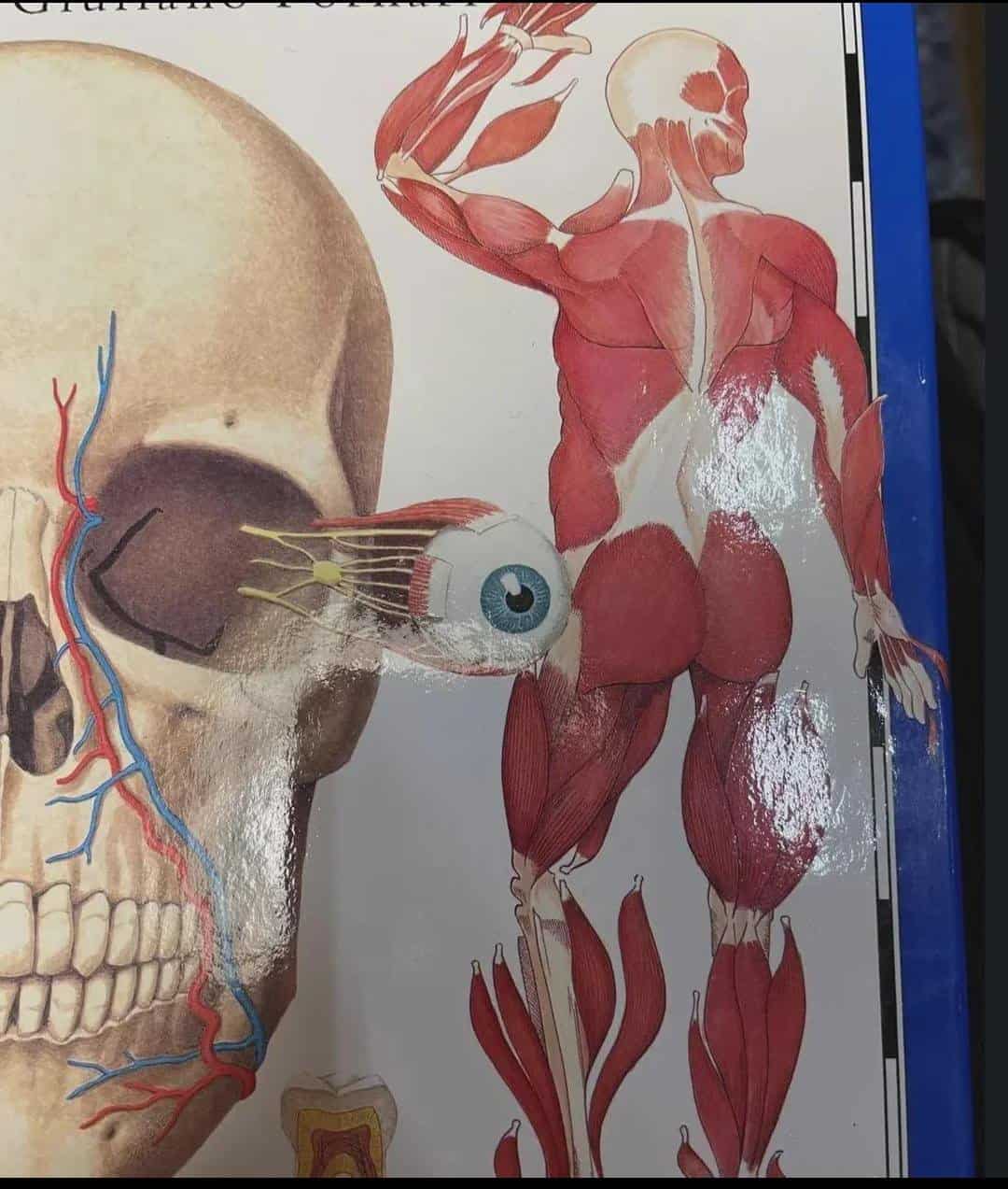 blursed images, cursed images, blessed images, weird images, funny pictures, strange photos, bizarre memes, odd images, uncanny pics, confusing images, internet oddities, blursed memes, cursed pics, blessed pics, surreal images, double take images, strange memes, weird internet photos, blursed content, awkward images