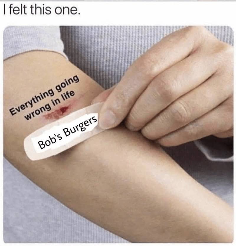 bobs burgers memes, Bob’s Burgers quotes, Tina Belcher memes, cartoon memes, Belcher family jokes, burger humor