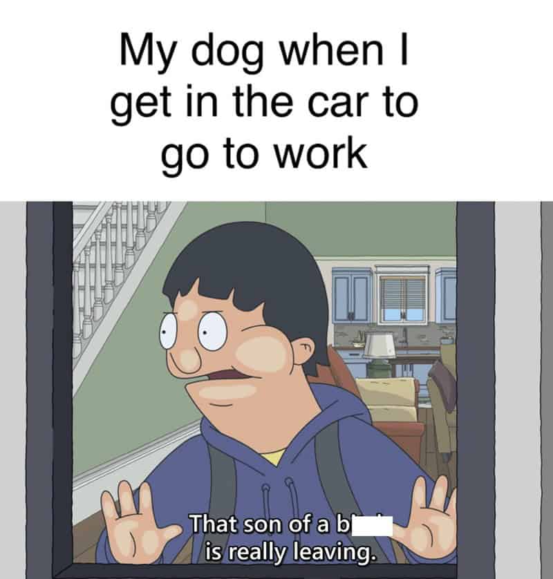 bobs burgers memes, Bob’s Burgers quotes, Tina Belcher memes, cartoon memes, Belcher family jokes, burger humor