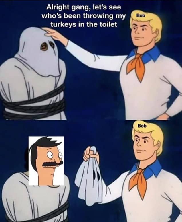 bobs burgers memes, Bob’s Burgers quotes, Tina Belcher memes, cartoon memes, Belcher family jokes, burger humor