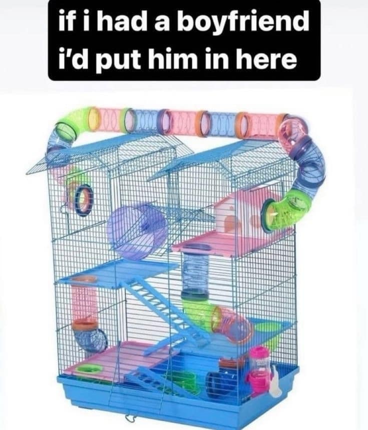 classic memes, vintage memes, viral tweets, old memes, funny memes, best memes, retro memes, timeless memes, evergreen memes, meme classics, iconic memes, meme archive, nostalgic memes, meme history, throwback memes, internet classics, legendary memes, meme nostalgia, viral memes, meme throwbacks, classic internet jokes