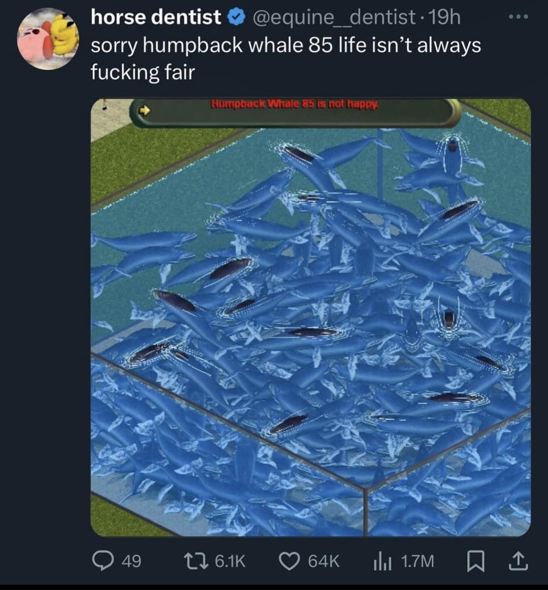 classic memes, vintage memes, viral tweets, old memes, funny memes, best memes, retro memes, timeless memes, evergreen memes, meme classics, iconic memes, meme archive, nostalgic memes, meme history, throwback memes, internet classics, legendary memes, meme nostalgia, viral memes, meme throwbacks, classic internet jokes