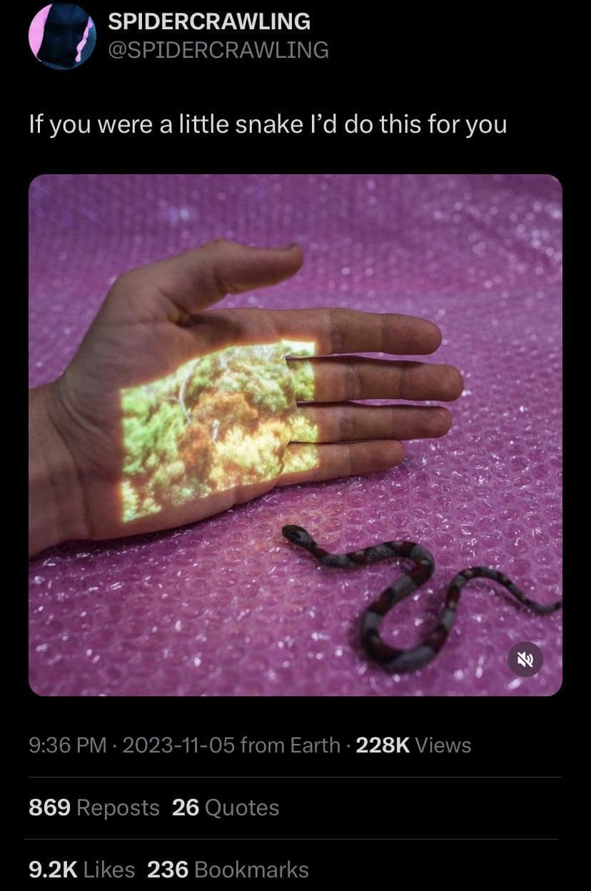 SPIDERCRAWLING @SPIDERCRAWLING If you were a little snake I'd do this for you 9:36 PM - 2023-11-05 from Earth • 228K Views 869 Reposts 26 Quotes 9.2K Likes 236 Bookmarks