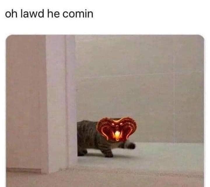 classic memes, vintage memes, viral tweets, old memes, funny memes, best memes, retro memes, timeless memes, evergreen memes, meme classics, iconic memes, meme archive, nostalgic memes, meme history, throwback memes, internet classics, legendary memes, meme nostalgia, viral memes, meme throwbacks, classic internet jokes