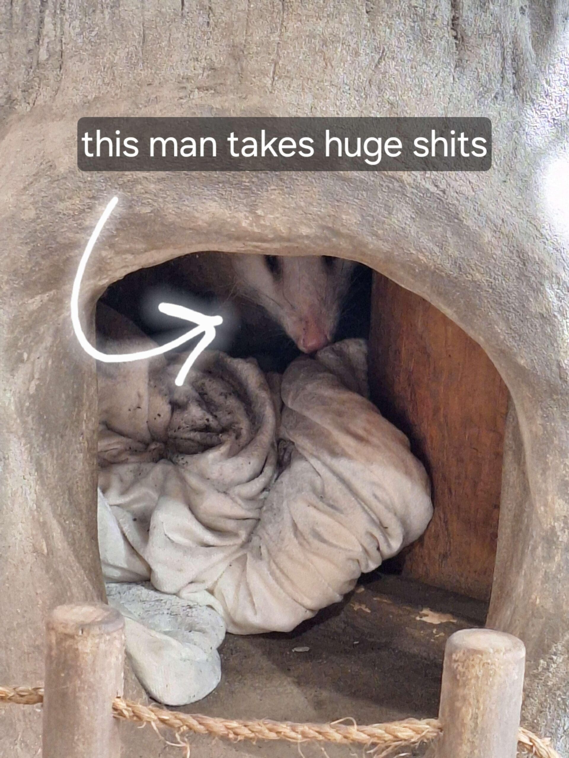 classic memes, viral tweets, vintage memes, iconic memes, best memes, old memes, timeless memes, meme classics, retro memes, legendary memes, evergreen memes, throwback memes, internet classics, meme archive, nostalgic memes, viral memes, historic memes, meme nostalgia, classic internet jokes, vintage viral posts, meme throwbacks