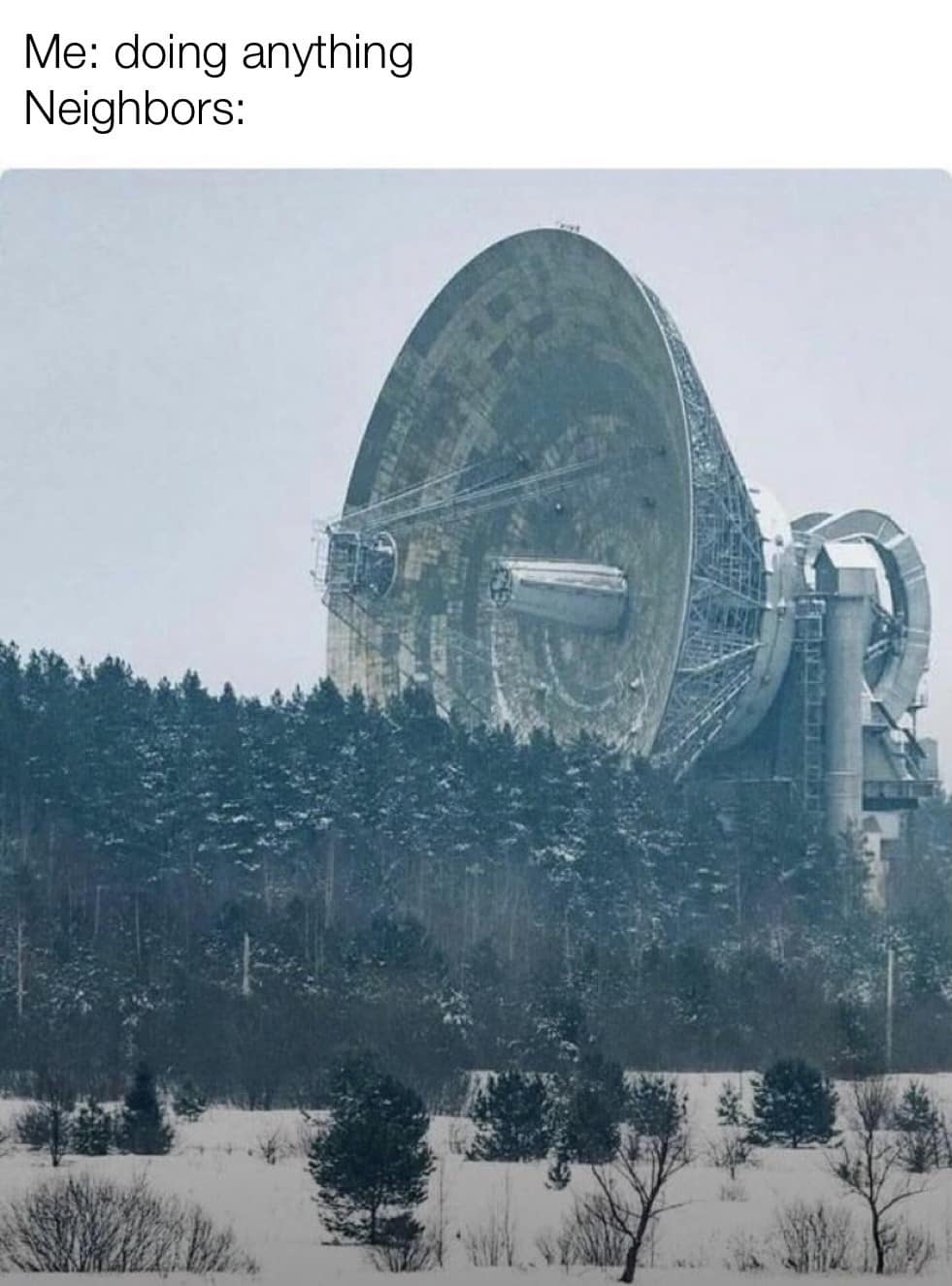 Me: doing anything Neighbors: