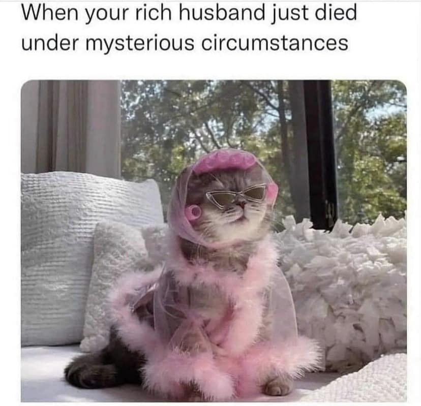 classic memes, vintage memes, viral tweets, timeless memes, older memes, internet staples, tweet nostalgia, short comedic lines, vintage viral humor, forever-laugh jokes, net relics, best memes, old memes