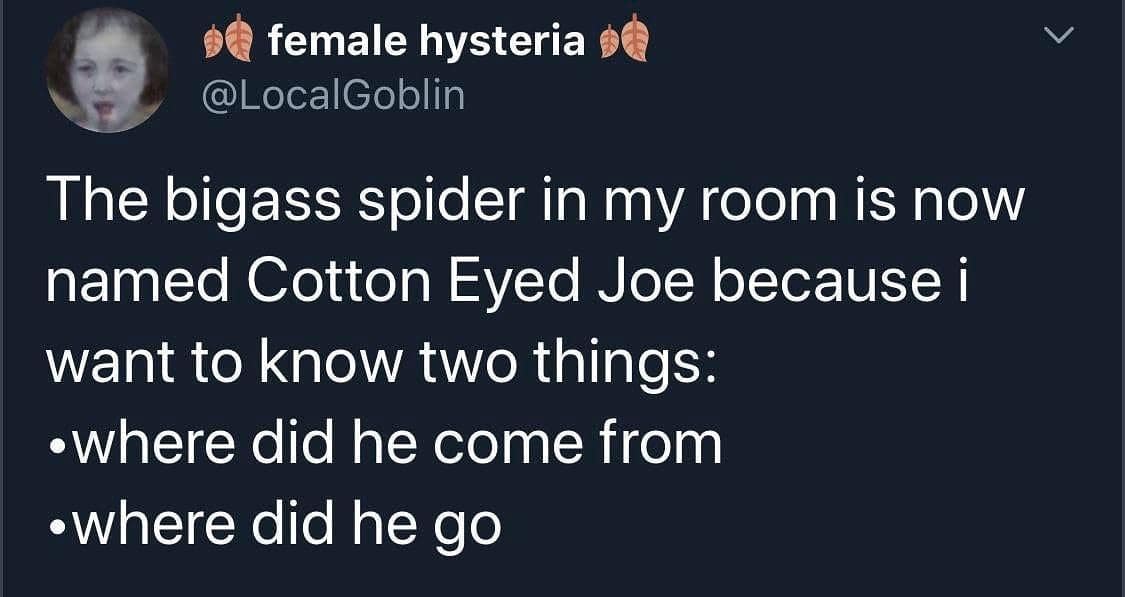 classic memes, vintage memes, viral tweets, old memes, best memes, retro memes, iconic memes, internet humor, meme nostalgia, viral posts, online humor, meme history, old memes