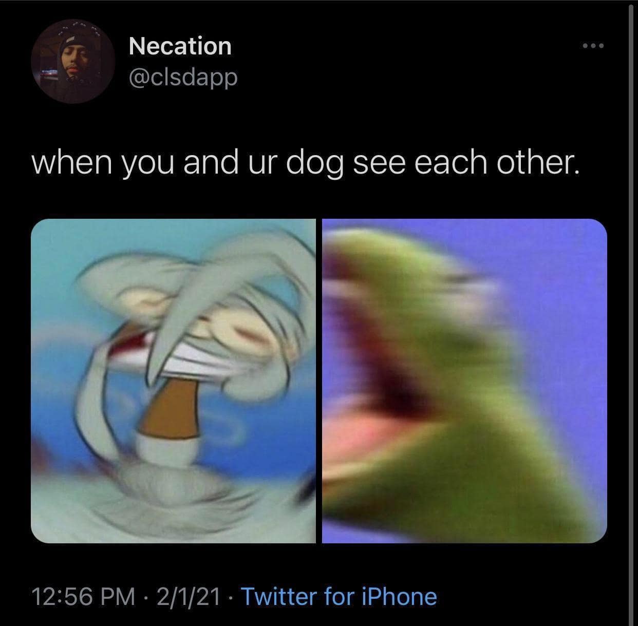 classic memes, vintage memes, viral tweets, retro memes, best memes, meme archive, timeless memes, internet classics, nostalgic memes, throwback memes, meme collection, evergreen memes, online nostalgia, meme history, legendary memes, old memes, meme revival, retro internet humor, digital nostalgia, meme throwbacks, viral classics