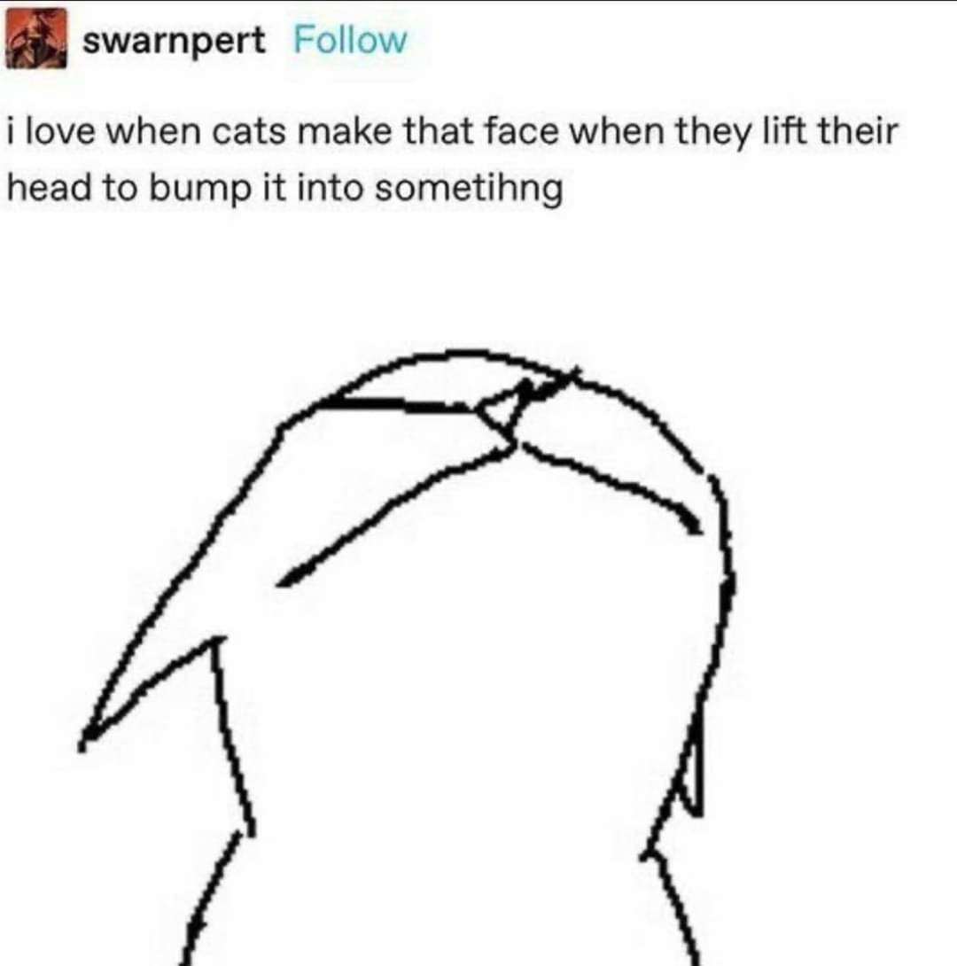 classic memes, vintage memes, viral tweets, internet memes, funny memes, evergreen memes, meme classics, nostalgic humor, old memes, best memes